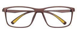 Amaryllis Rectangle Glasses1