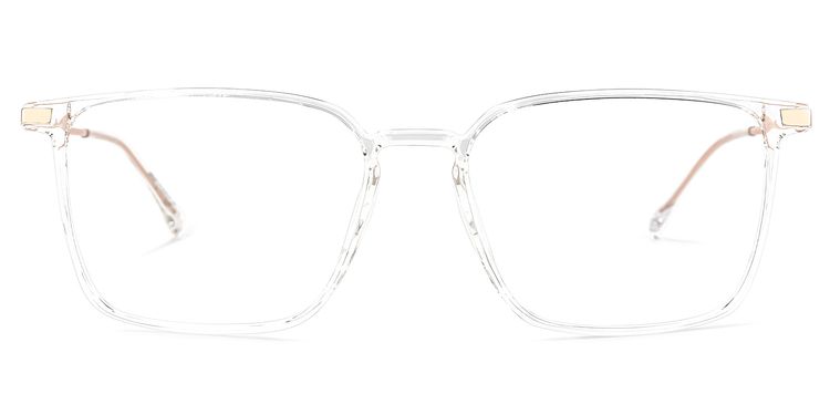 Litisha Square Clear Glasses