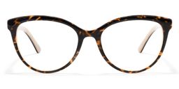 Elbert Round Tortoise Glasses0