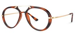 Darius Geometric Tortoise Glasses1