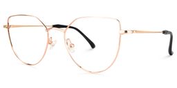 Doyle Cat Eye Gold Glasses2