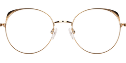 Lindsay Titanium Gold Glasses5