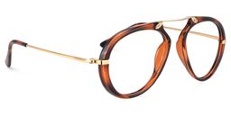 Darius Geometric Tortoise Glasses2