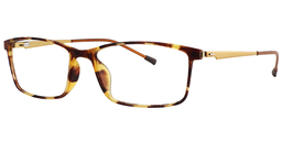 Kath Rectangle Tortoise Glasses3