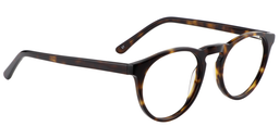 Angela Round Tortoise Glasses3