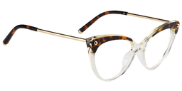 Alivia Cat Eye Tortoise&Clear Glasses4