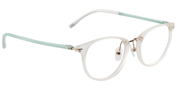 Nelson Oval Clear Glasses3