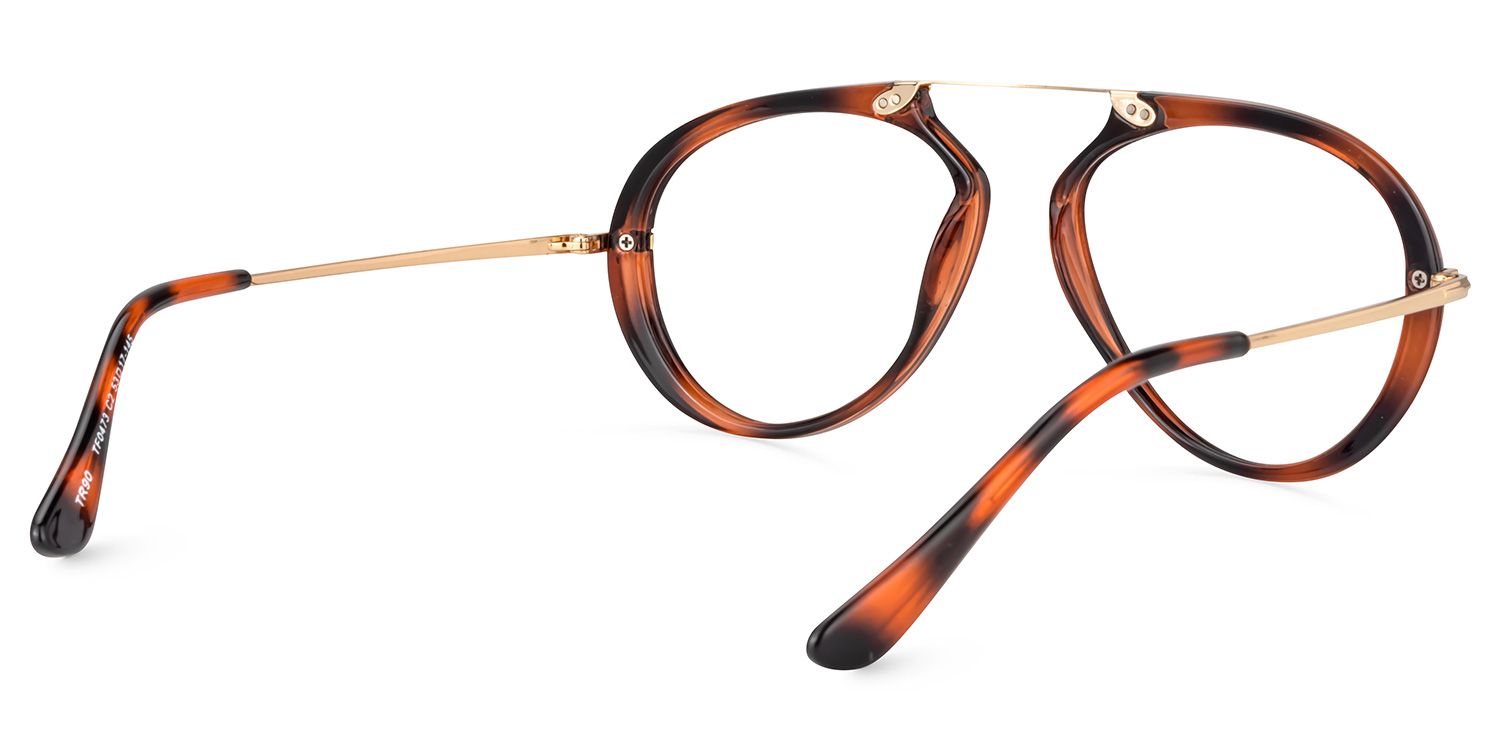 Geometric Tortoise Glasses | Zeelool Glasses4