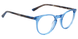 Fitzgerald Round Blue Glasses3