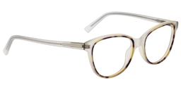 Nathan Oval Clear Glasses3