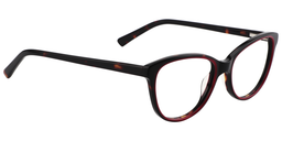 Nathan Oval Glasses3