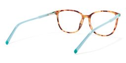 Elwood Square Brown Glasses4