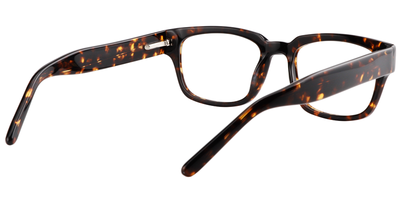 Rectangle Tortoise Glasses5