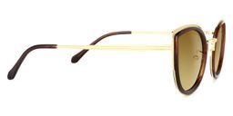 Rainey Cateye Brown Sunglasses3