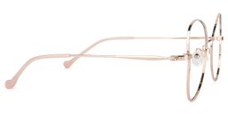 DiCaprio Butterfly Pink Glasses3