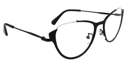 Chamberlain Cateye Black Glasses5