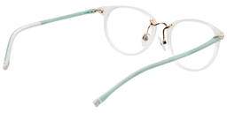 Nelson Oval Clear Glasses5