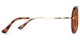 Darius Geometric Tortoise Glasses3