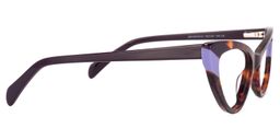 Loretta Cateye Tortoise Glasses3