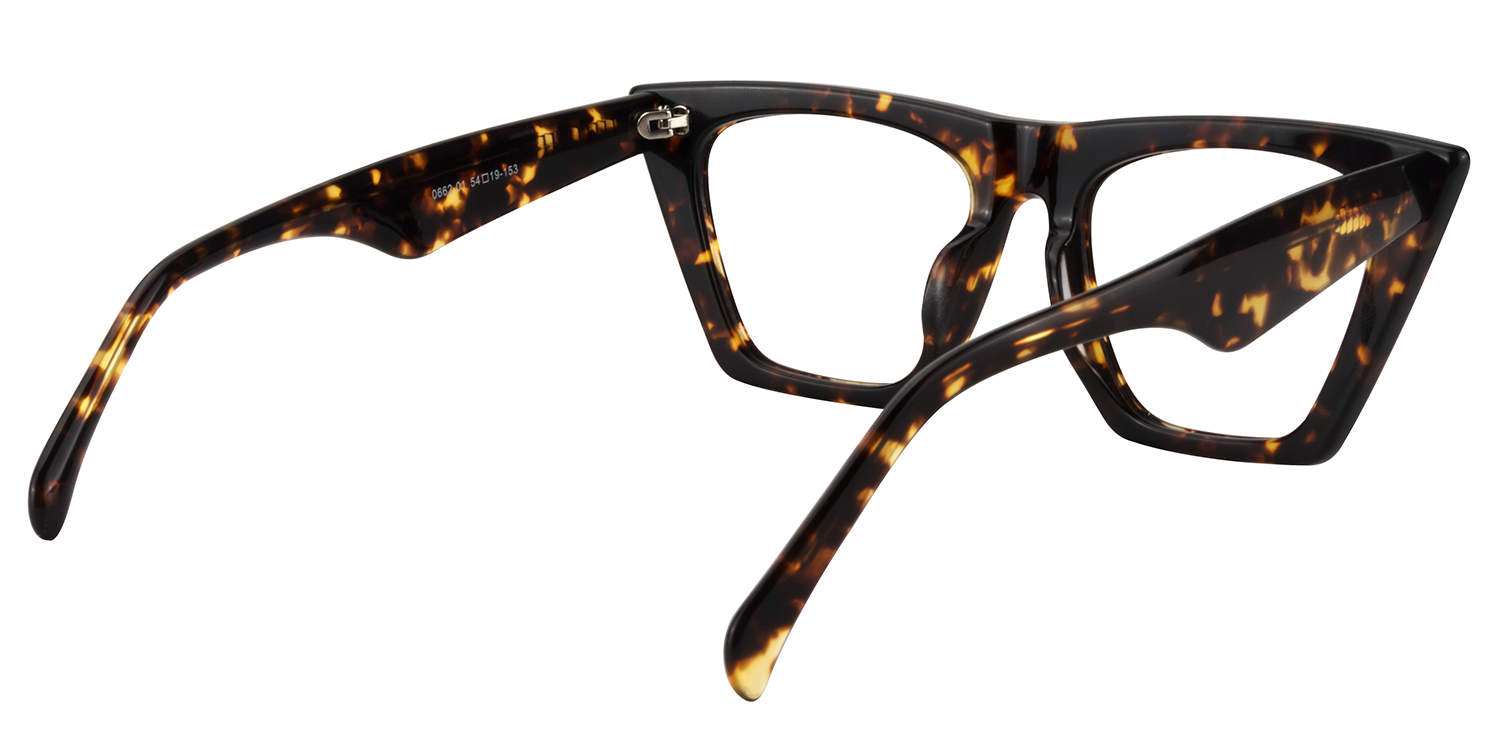 Cat Eye Tortoise Glasses3