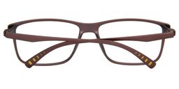 Amaryllis Rectangle Glasses5