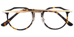 Jacqueline Geometric Tortoise Glasses5