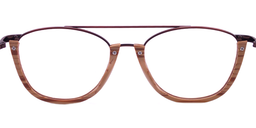 Alibi Aviator Eyeglasses16