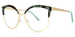 Laureano Browline Green-Tortoise Glasses2