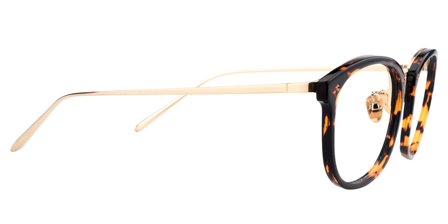 Round Tortoise Glasses | Zeelool Glasses3