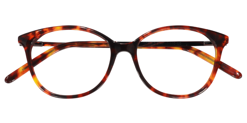 Oval Tortoise Glasses| Zeelool Eyeglasses1