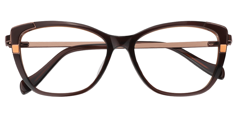 Rectangle Burnt Umber Glasses | Zeelool Prescription Glasses1