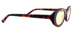 Calista Oval Tortoise Sunglasses4