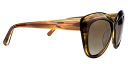 Ahern Cat eye Brown Sunglasses4