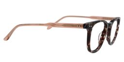 Addams Square Tortoise Glasses4