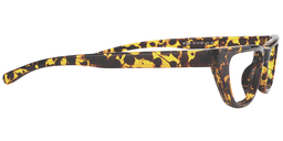 Rachiel Geometric Tortoise Eyeglasses5