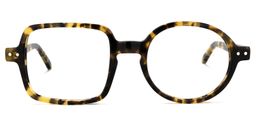 Tony Asymmetric Tortoise Glasses0