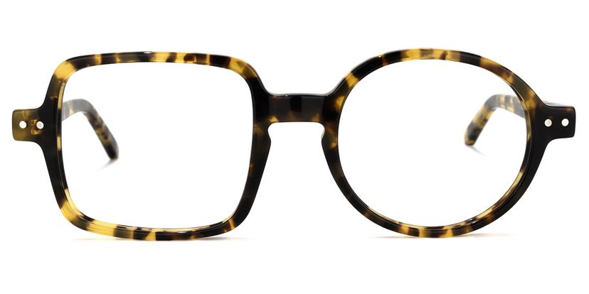 Tony Asymmetric Tortoise Glasses