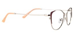 Calandra Cat eye Silver Glasses4