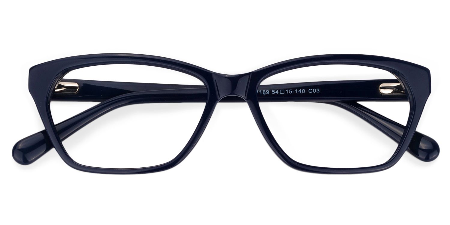 Rectangle Dark Blue Glasses | Zeelool Glasses1