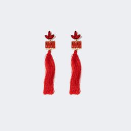 Stylish Long Tassels Red Earrings1