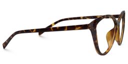 Iris Cat Eye Tortoise Glasses4