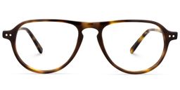 Donovan Geometric Tortoise Glasses0