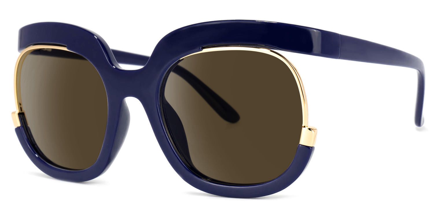 Darice Dark-Blue Frame Sunglasses with Round Style | ZEELOOL CA1