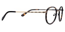 Ahern Round Tortoise Glasses4