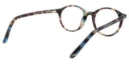 Aldrin Round Blue Tortoise Glasses5