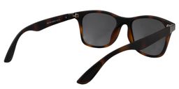 Almeric Square Tortoise Sunglasses5