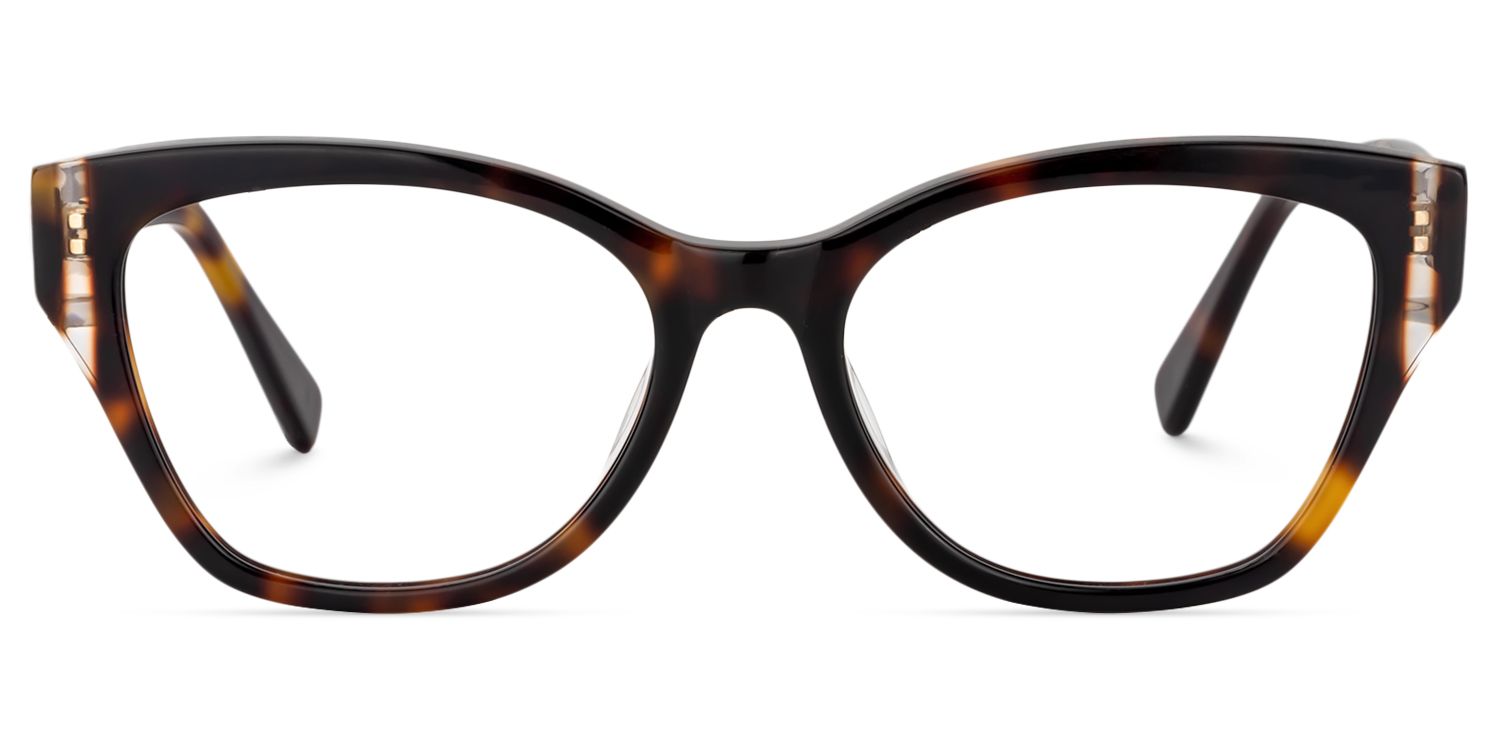 Square Tortoise Glasses | Zeelool Glasses0