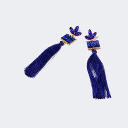 Stylish Long Tassels Blue Earrings0