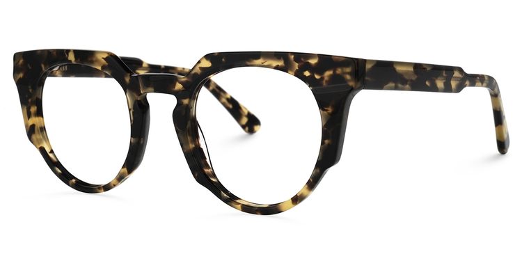 Jenkins Geometric Tortoise Glasses