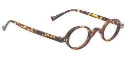 Warner Oval Tortoise Glasses3